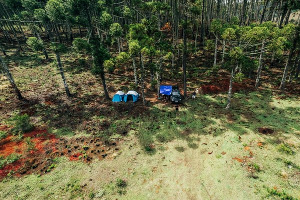 Discover Your Wild Side: The Ultimate Essential Guide to Experiencing Authentic Highland Games in Scotland